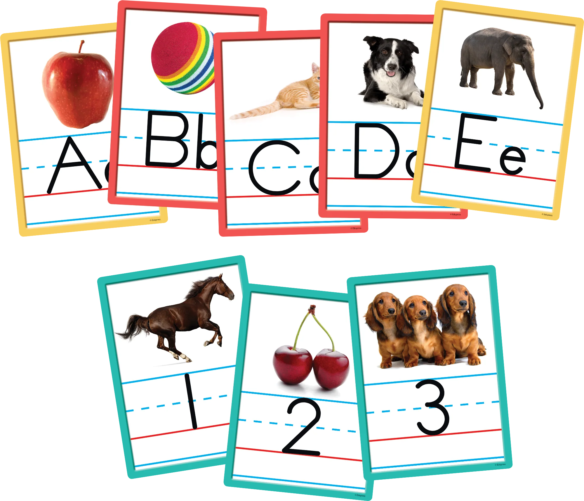 Alphabet and Numbers Accents