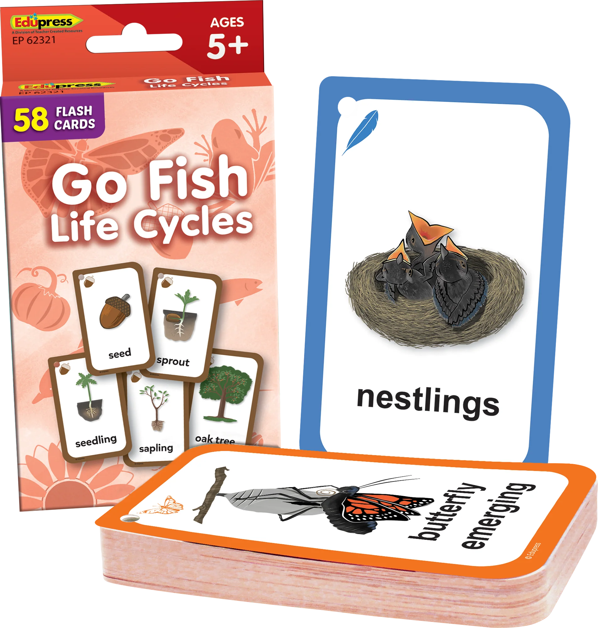 Go Fish: Life Cycles Flash Cards