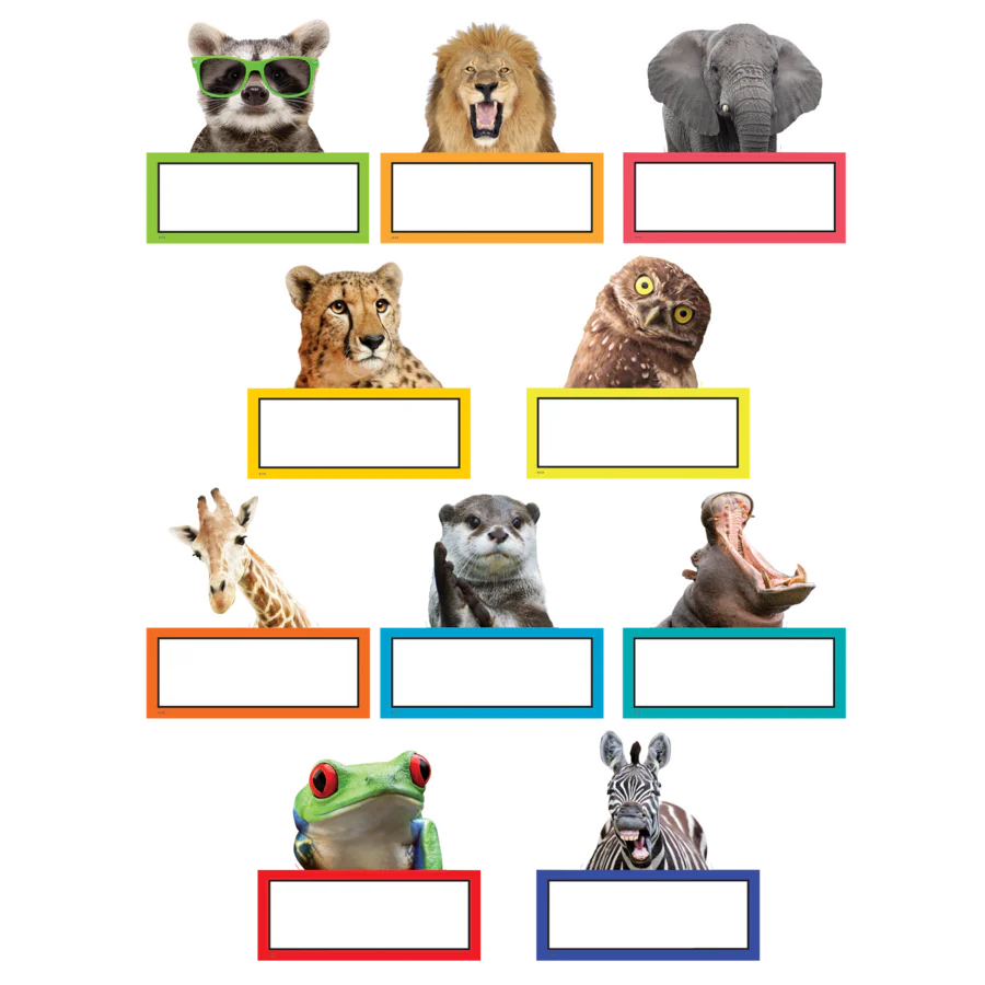 Go Wild Animals Accents