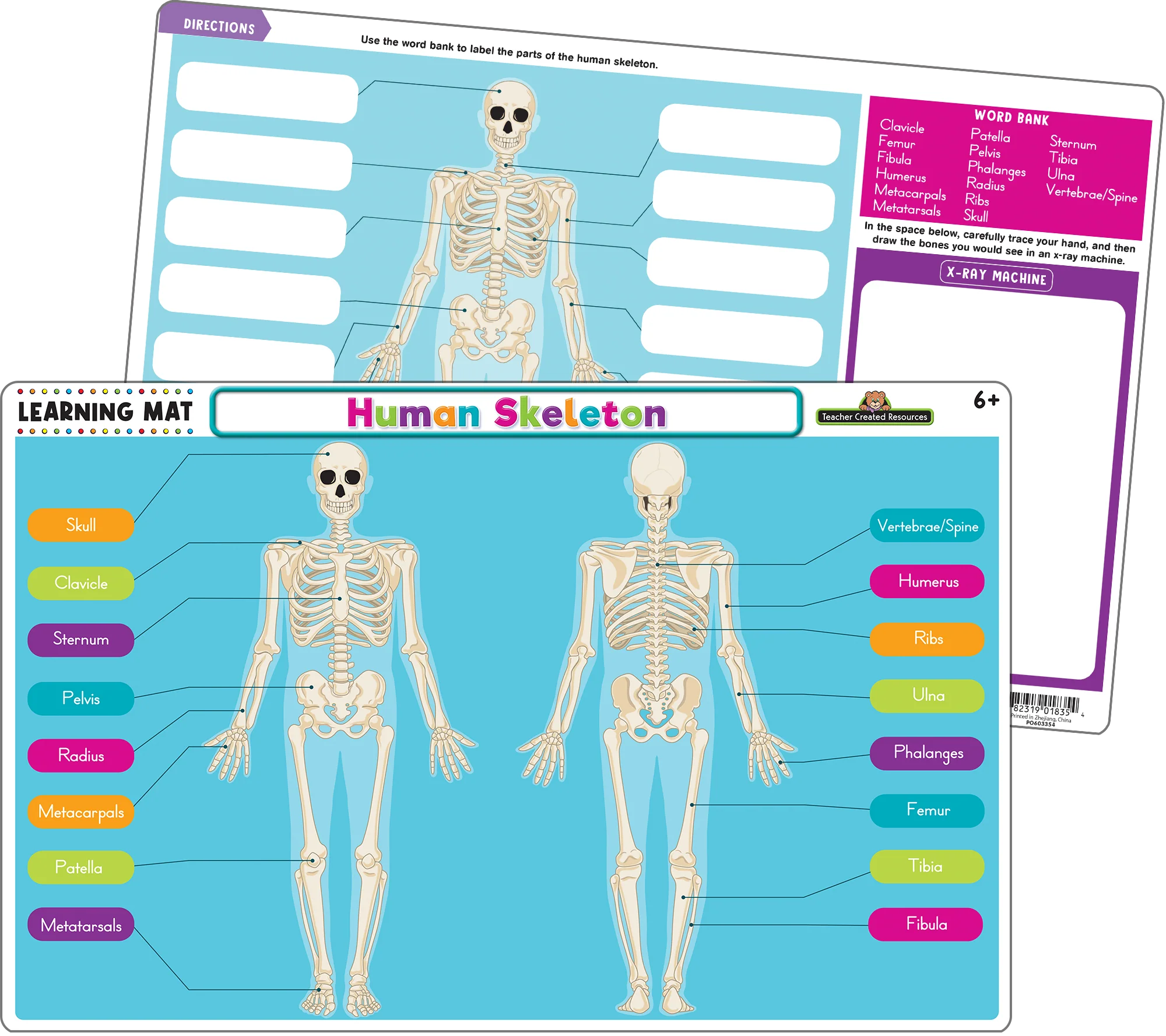 Human Skeleton Learning Mat