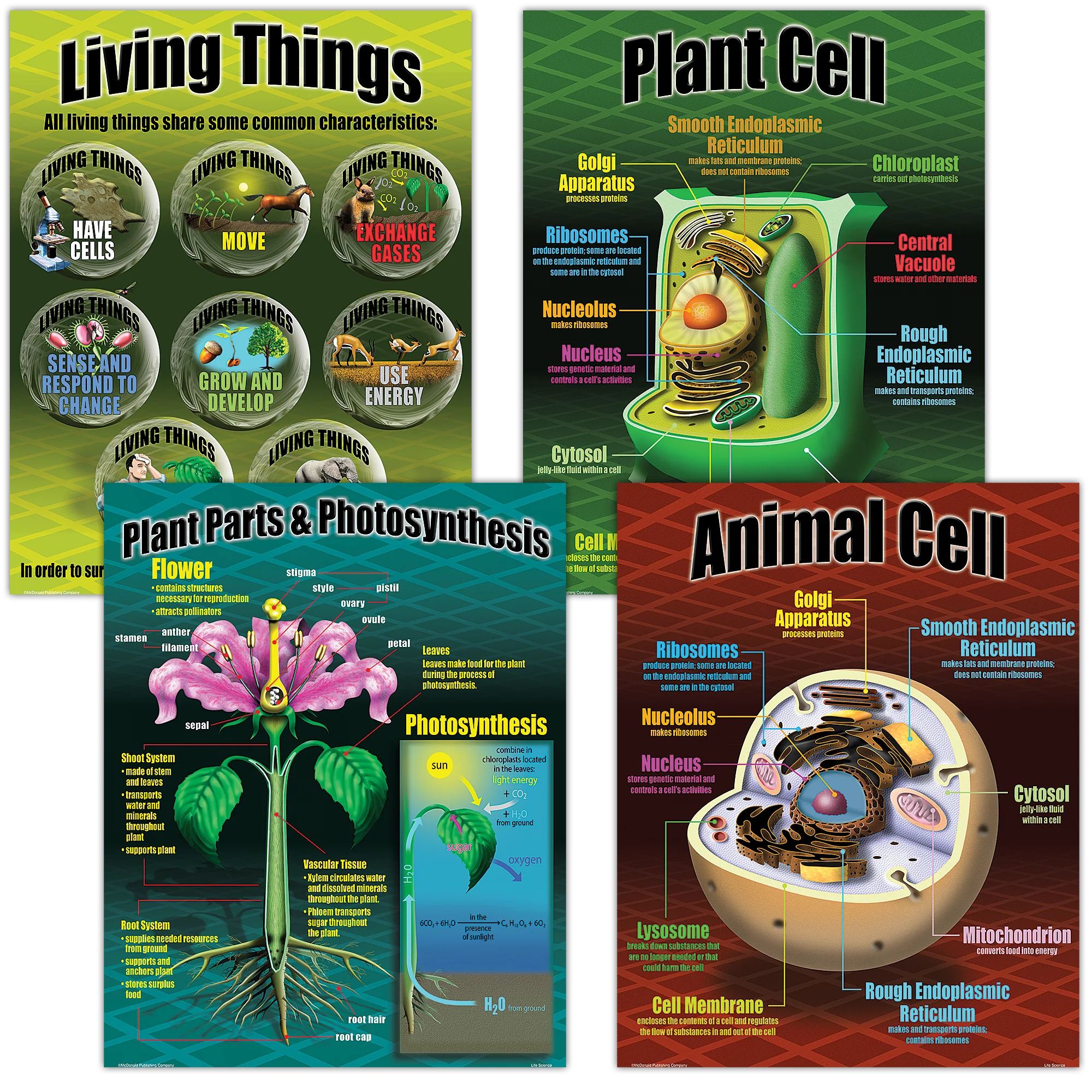 Life Science Poster Set