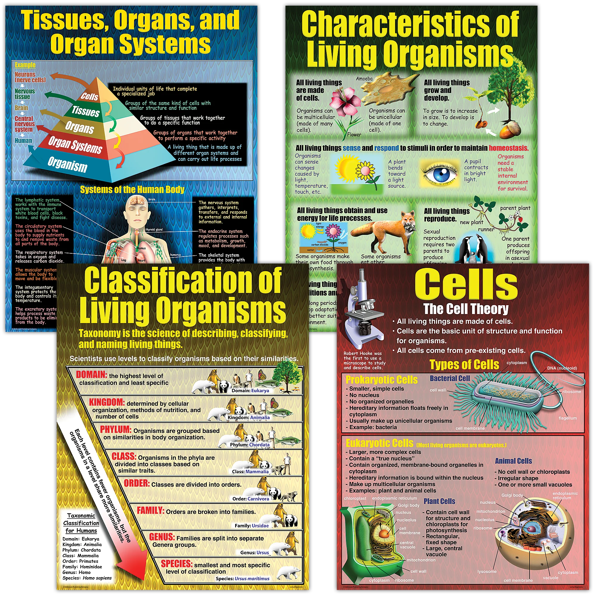 Living Organisms Poster Set